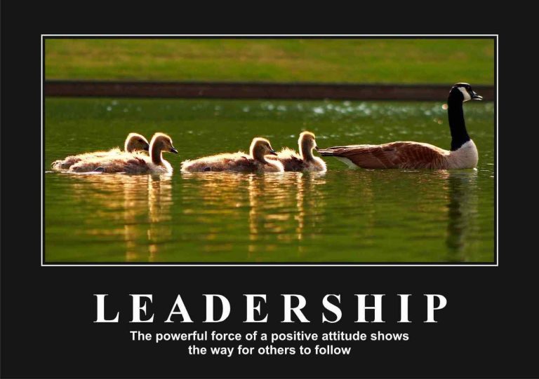 Leadership ‑ Ducks Motivational Posters A4 : A3 - Lazer Art & Frame