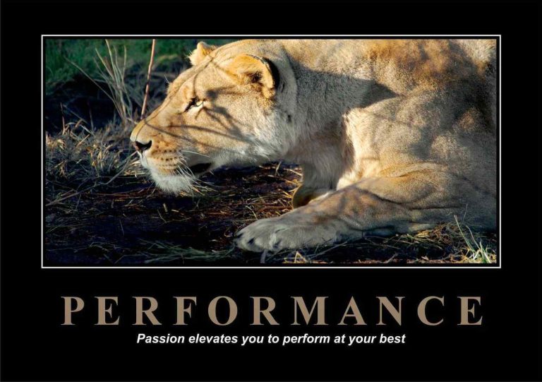 Performance Motivational Posters A4 : A3 - Lazer Art & Frame