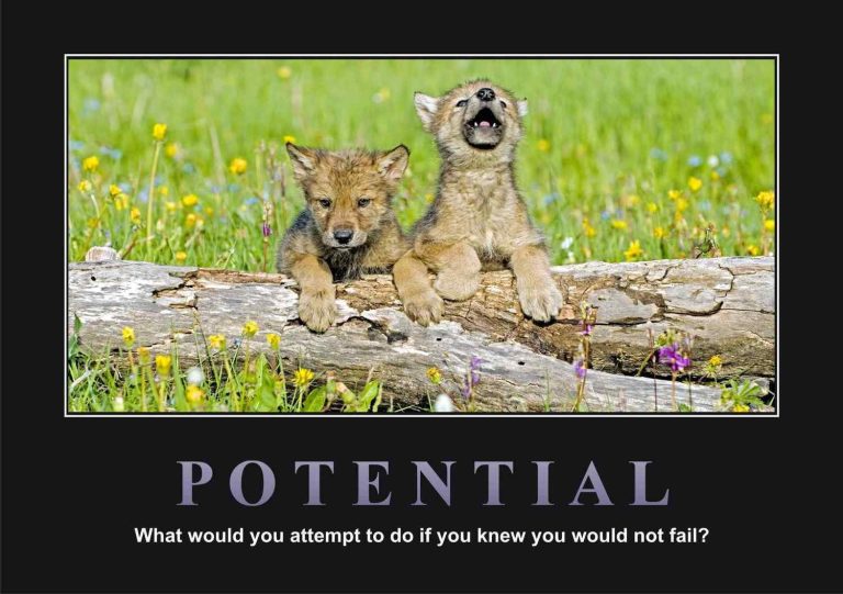 Potential Motivational Posters A4 : A3 - Lazer Art & Frame